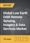 Low Earth Orbit (LEO) Remote Sensing, Imagery & Data Services - Global Strategic Business Report - Product Thumbnail Image