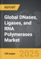 DNases, Ligases, and RNA Polymerases - Global Strategic Business Report - Product Image