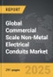 Commercial Scale Non-Metal Electrical Conduits - Global Strategic Business Report - Product Image