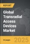 Transradial Access Devices - Global Strategic Business Report - Product Image