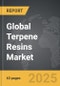 Terpene Resins - Global Strategic Business Report - Product Thumbnail Image