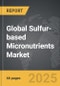 Sulfur-based Micronutrients - Global Strategic Business Report - Product Thumbnail Image