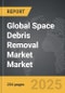 Space Debris Removal Market - Global Strategic Business Report - Product Thumbnail Image