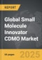 Small Molecule Innovator CDMO - Global Strategic Business Report - Product Image