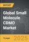 Small Molecule CDMO - Global Strategic Business Report - Product Image