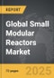 Small Modular Reactors - Global Strategic Business Report - Product Image