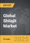 Shilajit - Global Strategic Business Report - Product Thumbnail Image