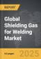 Shielding Gas for Welding - Global Strategic Business Report - Product Thumbnail Image