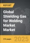 Shielding Gas for Welding Market - Global Strategic Business Report - Product Thumbnail Image