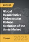Resuscitative Endovascular Balloon Occlusion of the Aorta - Global Strategic Business Report - Product Thumbnail Image
