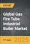 Gas Fire Tube Industrial Boiler - Global Strategic Business Report - Product Thumbnail Image