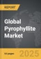 Pyrophyllite - Global Stategic Business Report - Product Thumbnail Image