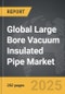 Large Bore Vacuum Insulated Pipe - Global Strategic Business Report - Product Image