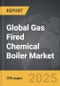 Gas Fired Chemical Boiler - Global Strategic Business Report - Product Thumbnail Image