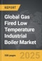 Gas Fired Low Temperature Industrial Boiler - Global Strategic Business Report - Product Thumbnail Image
