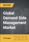Demand Side Management - Global Strategic Business Report - Product Thumbnail Image