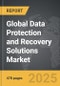 Data Protection and Recovery Solutions - Global Strategic Business Report - Product Thumbnail Image