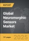 Neuromorphic Sensors - Global Strategic Business Report - Product Thumbnail Image