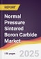 Normal Pressure Sintered Boron Carbide Market Report: Trends, Forecast and Competitive Analysis to 2031 - Product Image