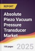 Absolute Piezo Vacuum Pressure Transducer Market Report: Trends, Forecast and Competitive Analysis to 2031- Product Image