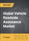 Vehicle Roadside Assistance - Global Strategic Business Report - Product Image