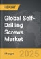 Self-Drilling Screws - Global Stategic Business Report - Product Thumbnail Image