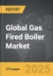 Gas Fired Boiler - Global Strategic Business Report - Product Thumbnail Image