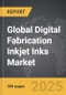 Digital Fabrication Inkjet Inks - Global Strategic Business Report - Product Thumbnail Image