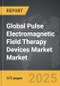 Pulse Electromagnetic Field Therapy Devices Market - Global Strategic Business Report - Product Thumbnail Image