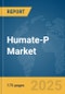 Humate-P Market Report 2025: Epidemiology, Pipeline Analysis, Market Insights & Forecasts - Product Image