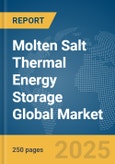 Molten Salt Thermal Energy Storage Global Market Report 2025- Product Image