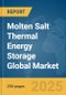 Molten Salt Thermal Energy Storage Global Market Report 2025 - Product Image