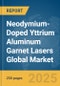 Neodymium-Doped Yttrium Aluminum Garnet (Nd:YAG) Lasers Global Market Report 2025 - Product Image