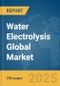 Water Electrolysis Global Market Report 2025 - Product Image