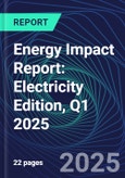 Energy Impact Report: Electricity Edition, Q1 2025- Product Image