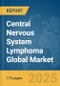 Central Nervous System (CNS) Lymphoma Global Market Report 2025 - Product Thumbnail Image