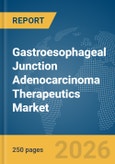 Gastroesophageal Junction Adenocarcinoma Therapeutics Market Report 2026- Product Image