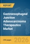 Gastroesophageal Junction Adenocarcinoma Therapeutics Market Report 2026 - Product Thumbnail Image