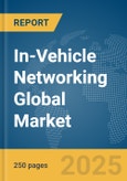 In-Vehicle Networking Global Market Report 2025- Product Image