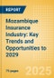 Mozambique Insurance Industry: Key Trends and Opportunities to 2029 - Product Thumbnail Image