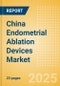 China Endometrial Ablation Devices Market Outlook to 2033 - Thermal Balloon Ablation Devices, Hydrothermal Ablation (HTA) Devices, Bipolar Energy Ablation Devices and Others - Product Image