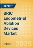BRIC Endometrial Ablation Devices Market Outlook to 2033 - Thermal Balloon Ablation Devices, Hydrothermal Ablation (HTA) Devices, Bipolar Energy Ablation Devices and Others- Product Image