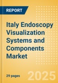 Italy Endoscopy Visualization Systems and Components Market Outlook to 2033 - Endoscopy Visualization Systems and Endoscopy Visualization System Components- Product Image