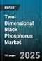 Two-Dimensional Black Phosphorus Market - Global Forecast to 2030 - Product Image