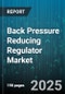 Back Pressure Reducing Regulator Market by Type, End Use Industry, Pressure Range, Material, Connection Type, Flow Media, Size, Actuation - Global Forecast to 2030 - Product Thumbnail Image