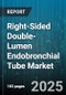 Right-Sided Double-Lumen Endobronchial Tube Market - Global Forecast to 2030 - Product Image