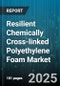 Resilient Chemically Cross-linked Polyethylene Foam Market - Cumulative Impact of United States Tariffs 2025 - Global Forecast to 2030 - Product Thumbnail Image