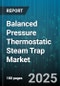 Balanced Pressure Thermostatic Steam Trap Market - Cumulative Impact of United States Tariffs 2025 - Global Forecast to 2030 - Product Thumbnail Image