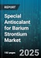 Special Antiscalant for Barium Strontium Market - Global Forecast to 2030 - Product Image