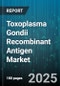 Toxoplasma Gondii Recombinant Antigen Market - Global Forecast to 2030 - Product Thumbnail Image